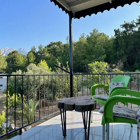 Dom wakacyjny Serenity Homes - 2 *